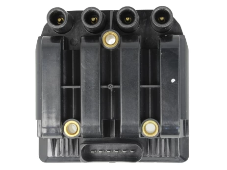Ritė, uždegimas NGK 48038