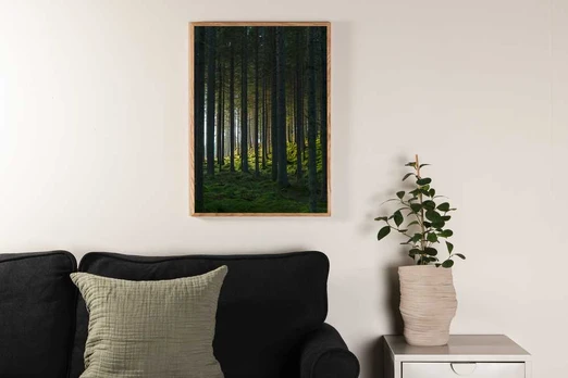 Paveikslas - Woods - 70x100
