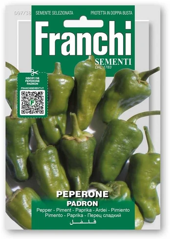 Paprikos vienmetės PADRON