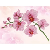Deimantinė mozaika ORCHID SPRAY 27x37 cm kaina