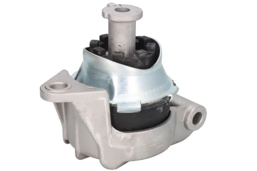 DELPHI TEM090 Engine mount