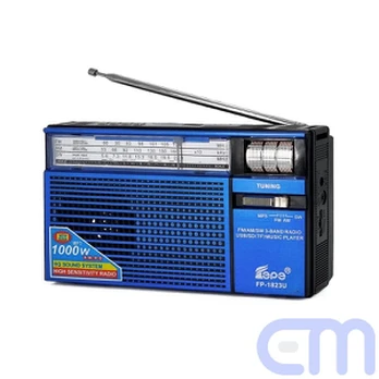 Radio EPE