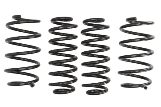 Žeminanti spyruoklė (30/30 mm) Pro-Kit (4 vnt.) E10-79-004-03-22