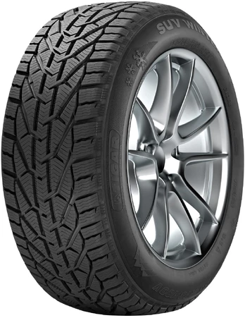 Tigar Winter 205/55R17 95 V
