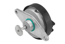 BorgWarner 7211D/1 ERG vožtuvas