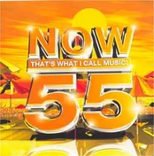 CD Various - Now That's What I Call Music! 55
