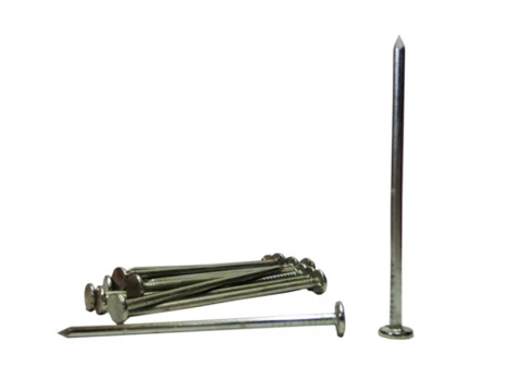 Statybinės vinys 1,2 x 20 mm XIDO, 0,3 kg