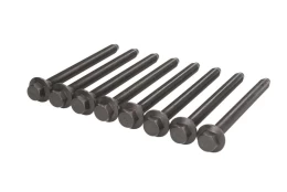 REINZ 14-32344-01 Cylinder head bolt set kaina