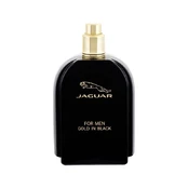 Jaguar EDT For Men, 100ml kaina