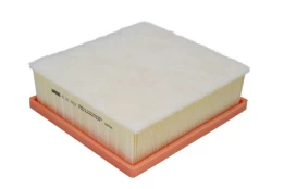 Oro filtras MANN-FILTER C21002 kaina