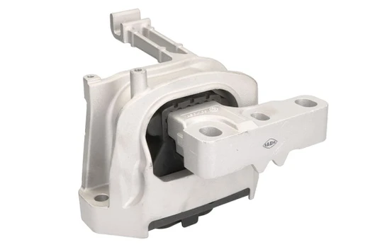 Variklio montavimas SASIC 2706603