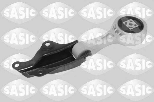 Variklio montavimas SASIC 2706780