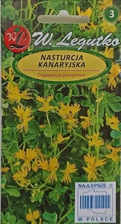 Tropikų kresė, W. Legutko