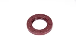 ELRING EL169370 Camshaft seal kaina