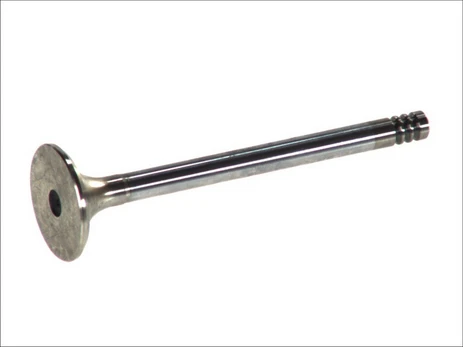 FRECCIA 4376/BMCR Exhaust valve
