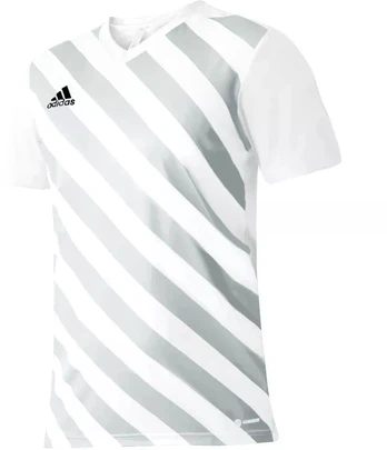 Adidas Entrada 22 Graphic marškinėliai Jr HF0120