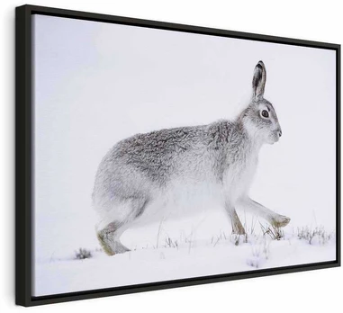Artgeist Paveikslas - Hare (1 Part) Wide