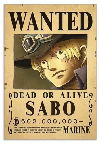 Plakatas One Piece