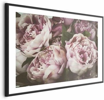 Artgeist Plakatas - Rožinė Peonies