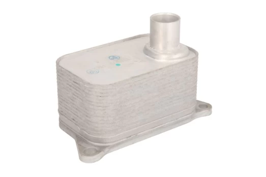 Alyvos radiatorius THERMOTEC D4A006TT