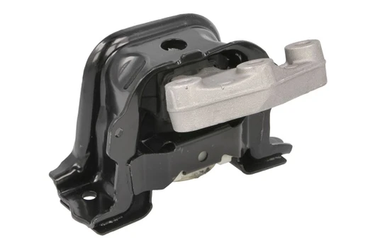 Variklio montavimas DELPHI TEM294