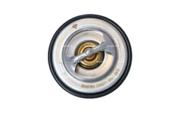 Termostatas, aušinimo skystis NRF 725071