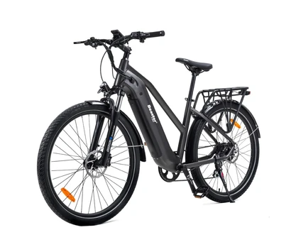 Elektrinis dviratis Beaster BS114G, 250 W, pilkas