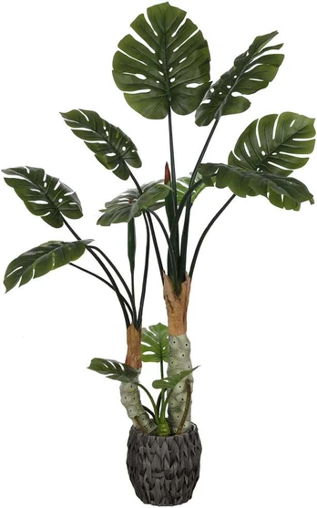 Dirbtinis augalas Monstera, 160 cm