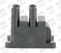 Ritė, uždegimas BorgWarner (BERU) ZS556