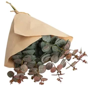Dirbtinė šakelė, eukaliptas Homla Basic Euuka, raudona sp./žalia sp., 48 cm x 41 cm kaina