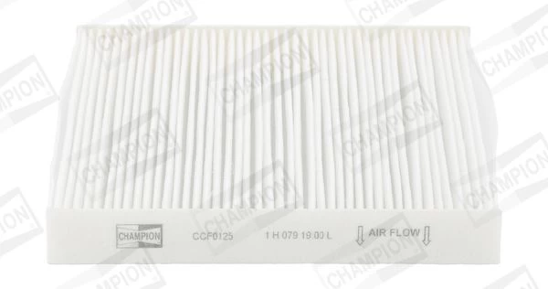 Filtras, salono oras CHAMPION CCF0125