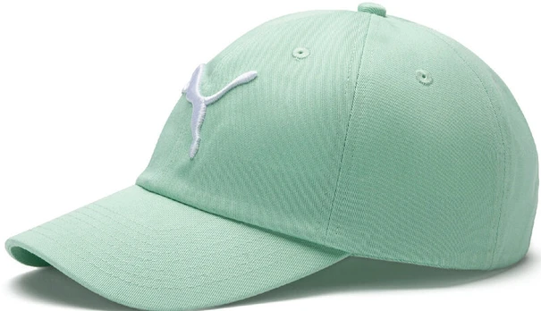 Laisvalaikio kepurė Puma ESS Cap Mist Mint, mėlyna, NS