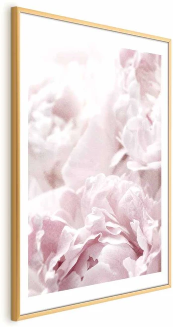 Artgeist Plakatas - Fluffy Peonies