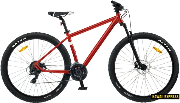 Dviratis 29 CLASSIC PRO 29 21s 29 red classic