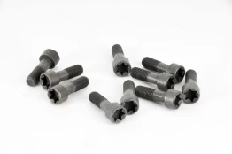 LUK 411 0125 10 Flywheel bolt set kaina