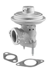 ERG vožtuvas BorgWarner (Wahler) 712065D