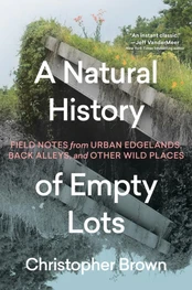 A Natural History of Empty Lots kaina