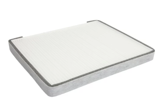Salono filtras DENSO DCF577P