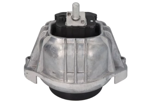 DELPHI TEM100 Engine mount