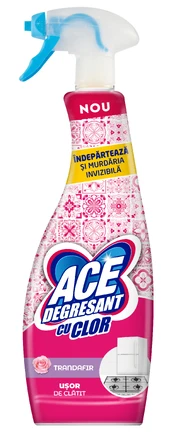 VALIKLIS UNIVERSALUS PURŠKIAMA ACE 650ML kaina