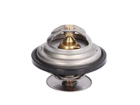 termostatas, aušinimo skystis THERMOTEC D2MA004TT