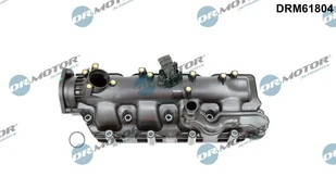 Įsiurbimo kolektoriaus modulis Dr.Motor Automotive DRM61804 kaina