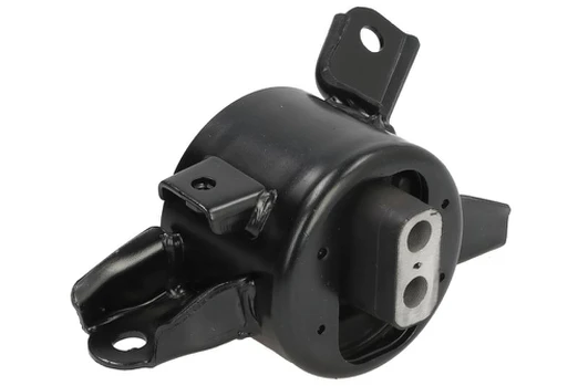 Variklio montavimas TEDGUM TED56026