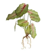 Dirbtinis augalas Eurofirany Natu 287, žalia, 45 cm