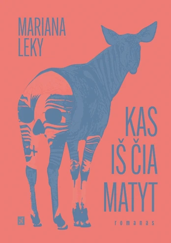 Kas iš čia matyt
