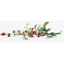 Etude with Strawberries SB2266
