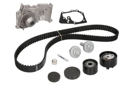 INA 530 0639 30 Timing belt kit (belt+ pulley+ water pump) kaina