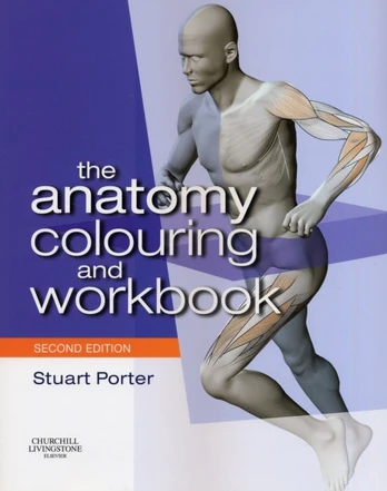 Anatomy Colouring and Workbook