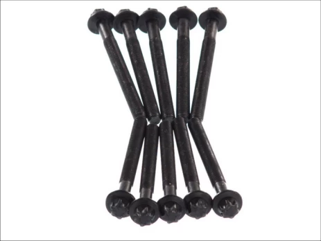ELRING EL373320 Cylinder head bolt set