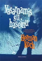 Vasarnamis su baseinu kaina